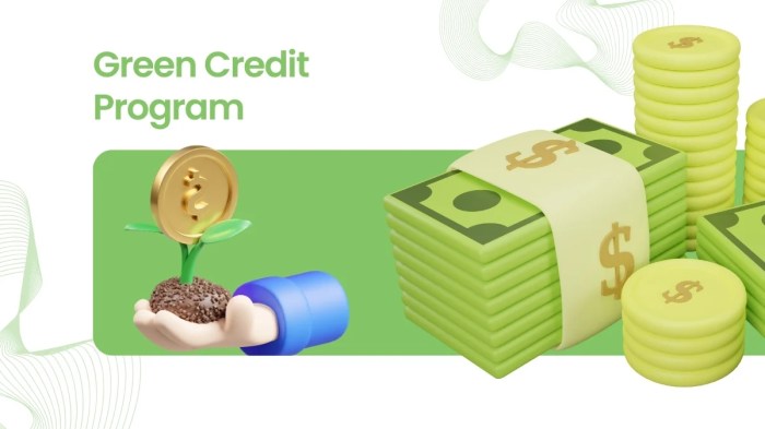 Green Credit Program